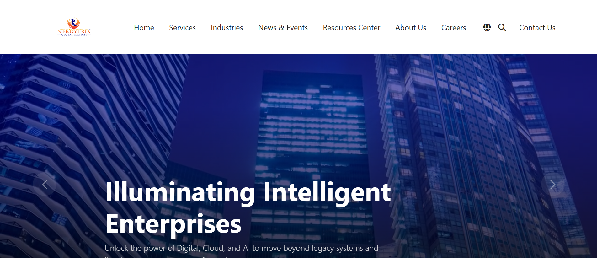 NerdyTrix Global Services